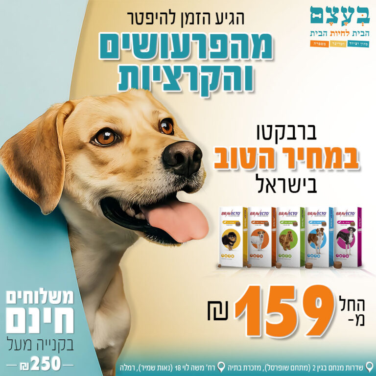 פוסטים לאתר (7)